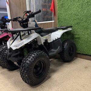 110 ATV - White